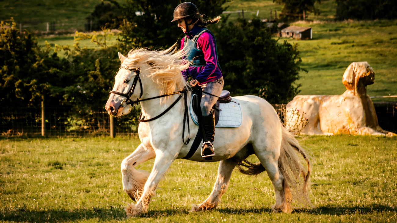 Cantering a grey cob across the grass on a bright day