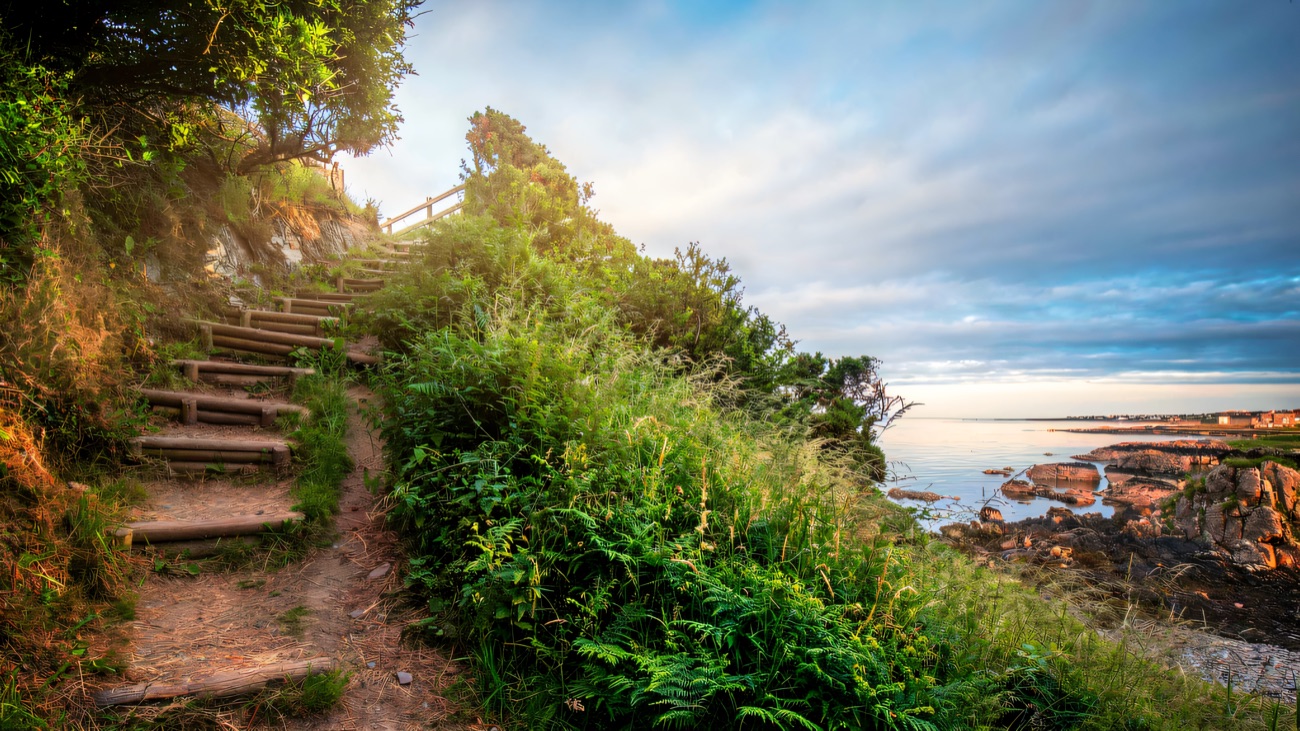 Timber steps carrying the coastal path up above the rocky shore