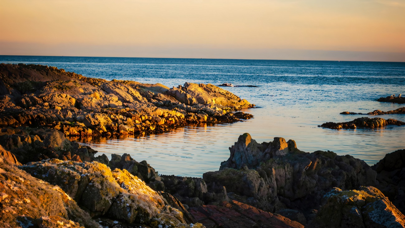 Golden light on the tide pools and weathered rocks of the Lecale shore