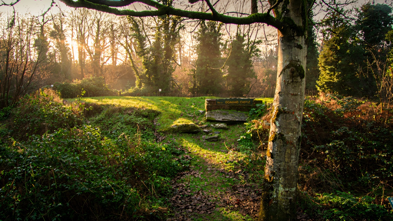 The grassy mound in its wooded setting, with the green sign marking the site of O'Cahan's Castle