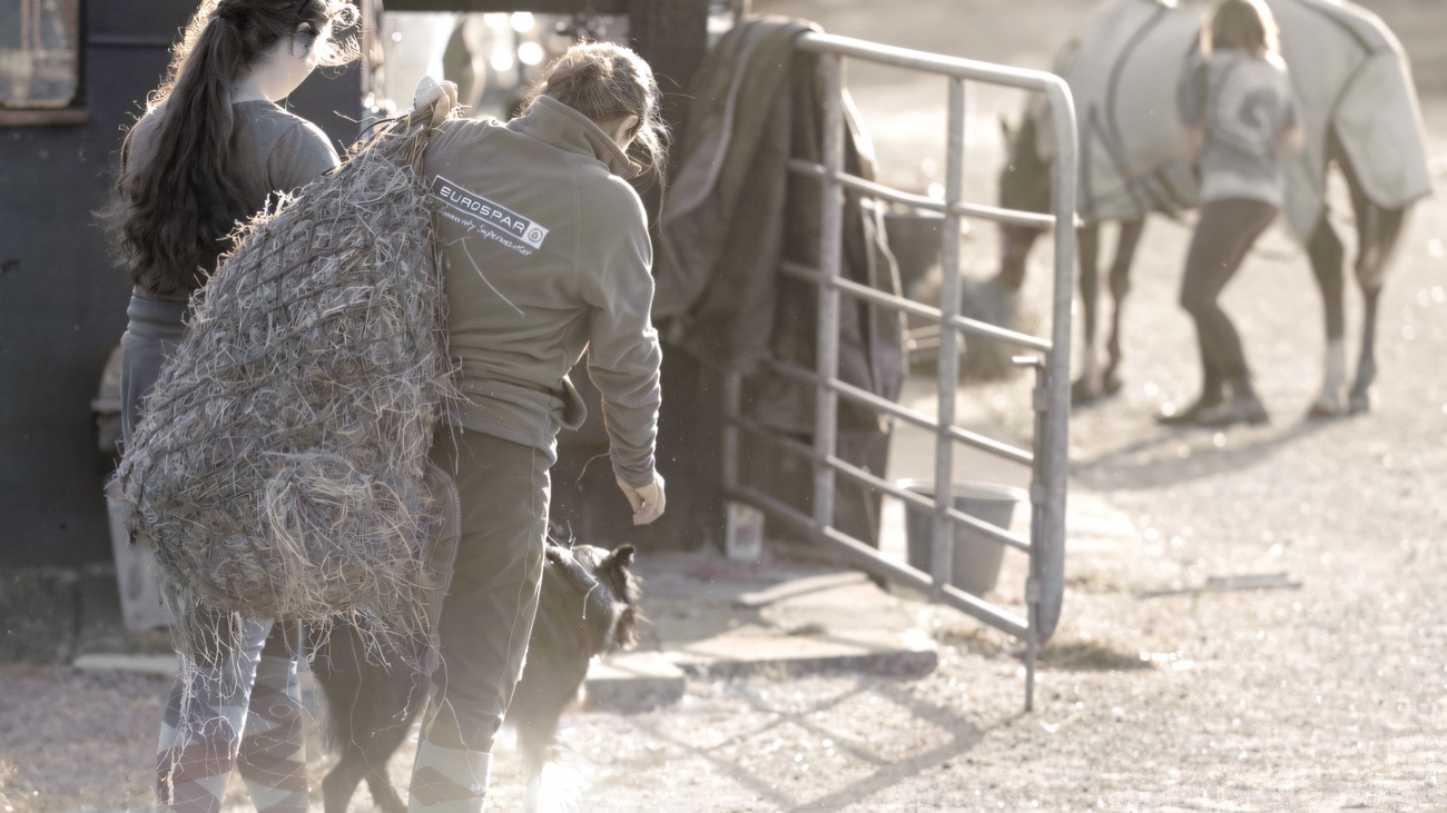 Carrying haynets across the yard on a frosty morning