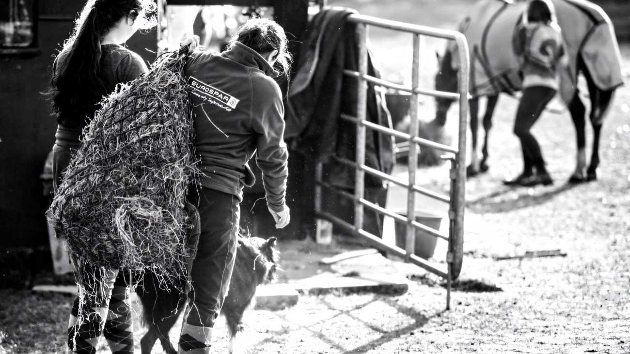 Carrying haynets across the yard, in black and white