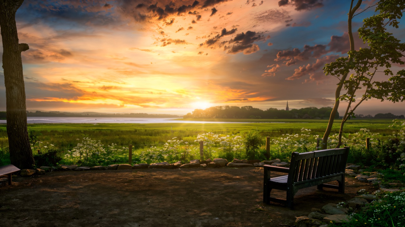 Sunset over the wet meadows, a lakeside bench framed by trees and the island spire on the horizon.