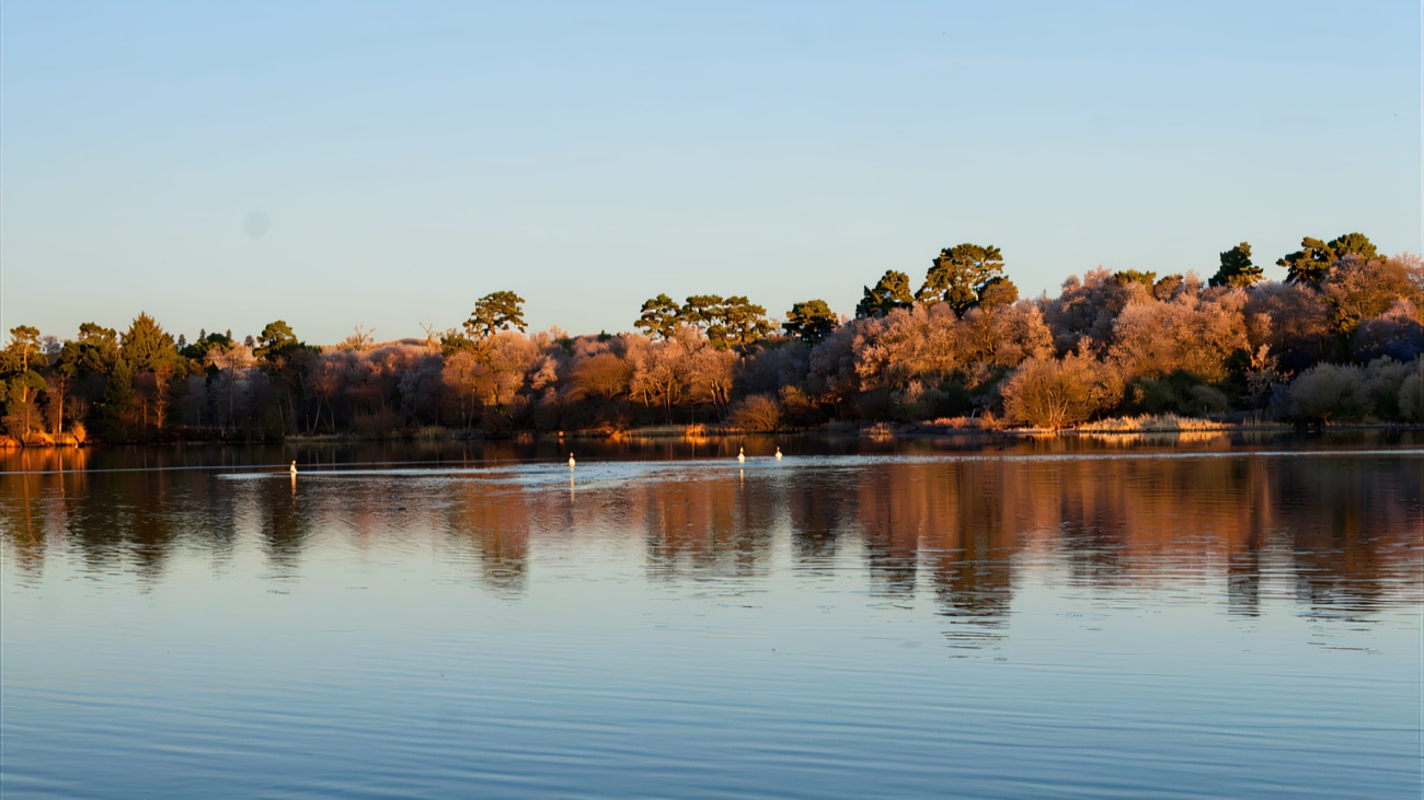 A frosty winter morning on the lough, bare trees mirrored in the still water