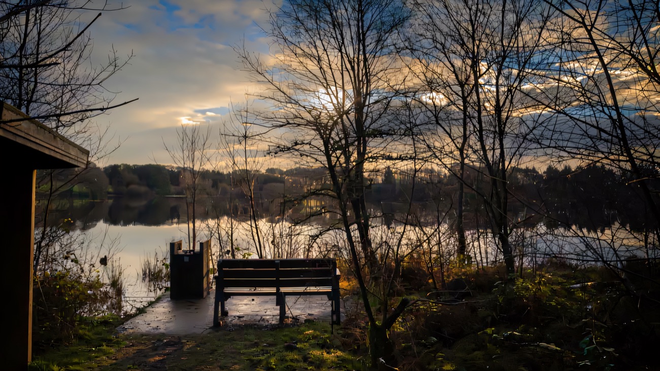 A lakeside bench looks out over the water, a peaceful spot to pause