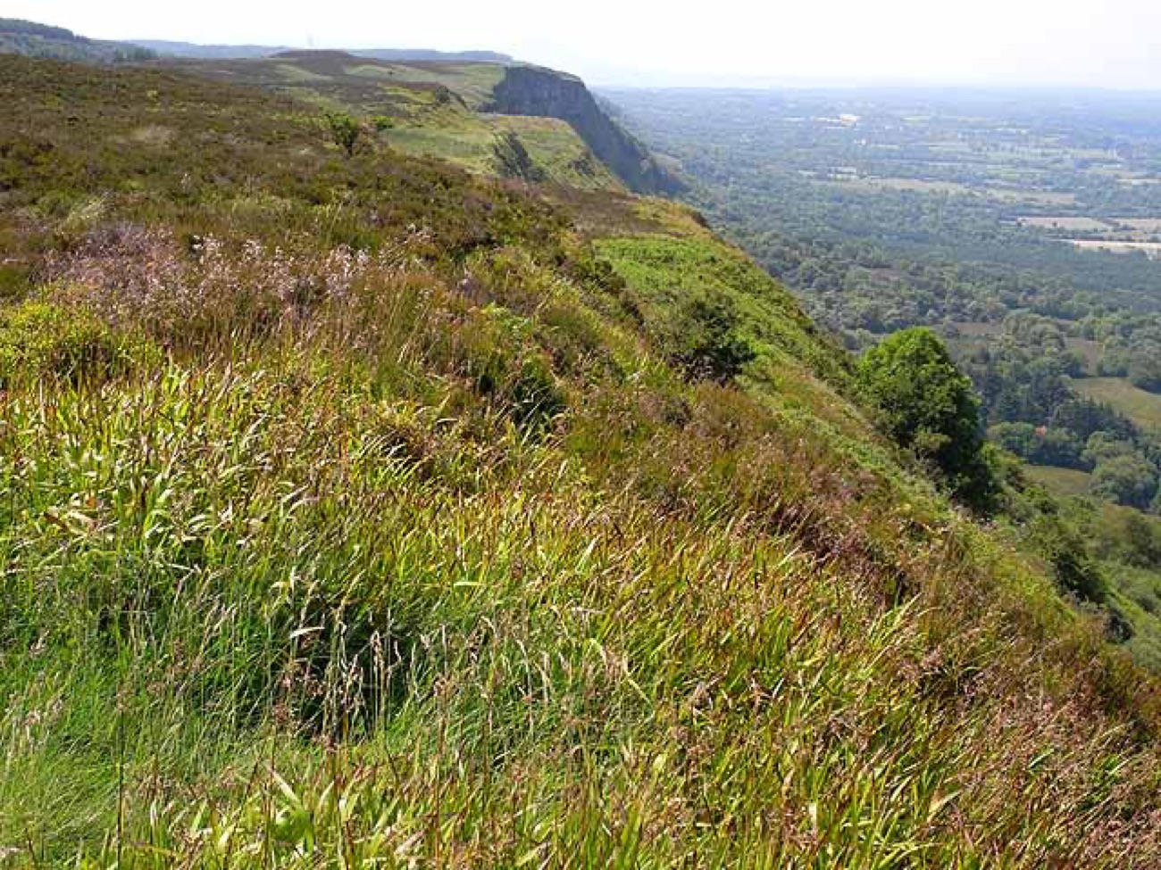 The heathery clifftop of the Cliffs of Magho sweeping away, with the lowlands and lough beyond.