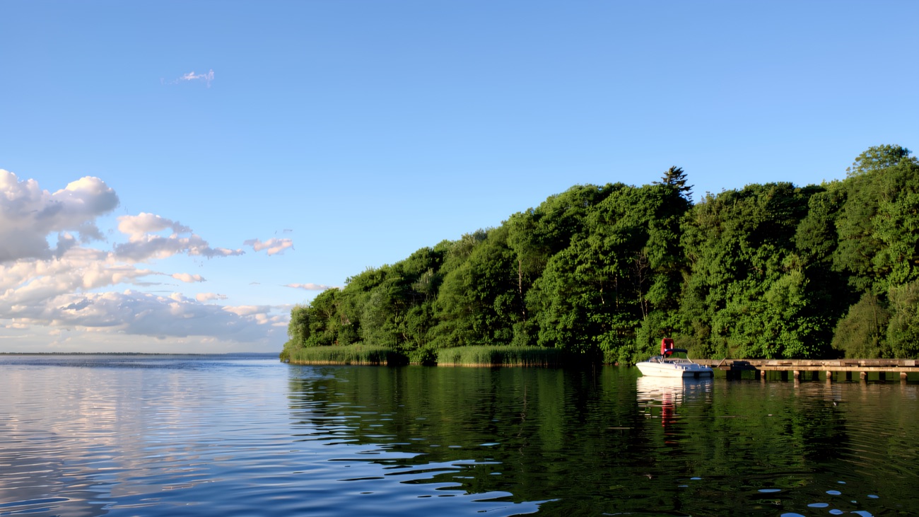 The wooded shore of Coney Island with a small boat tied up at the timber jetty on a calm day.