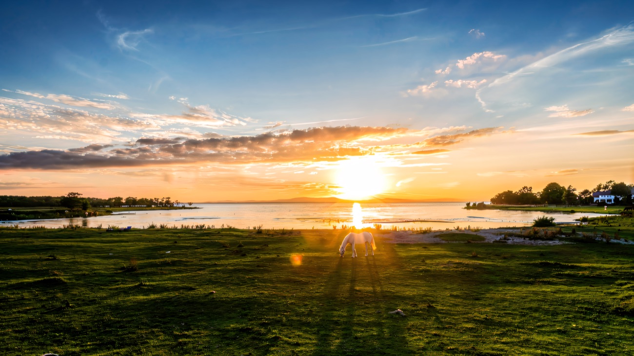 A horse grazes on the shore as the sun sets over Lough Neagh