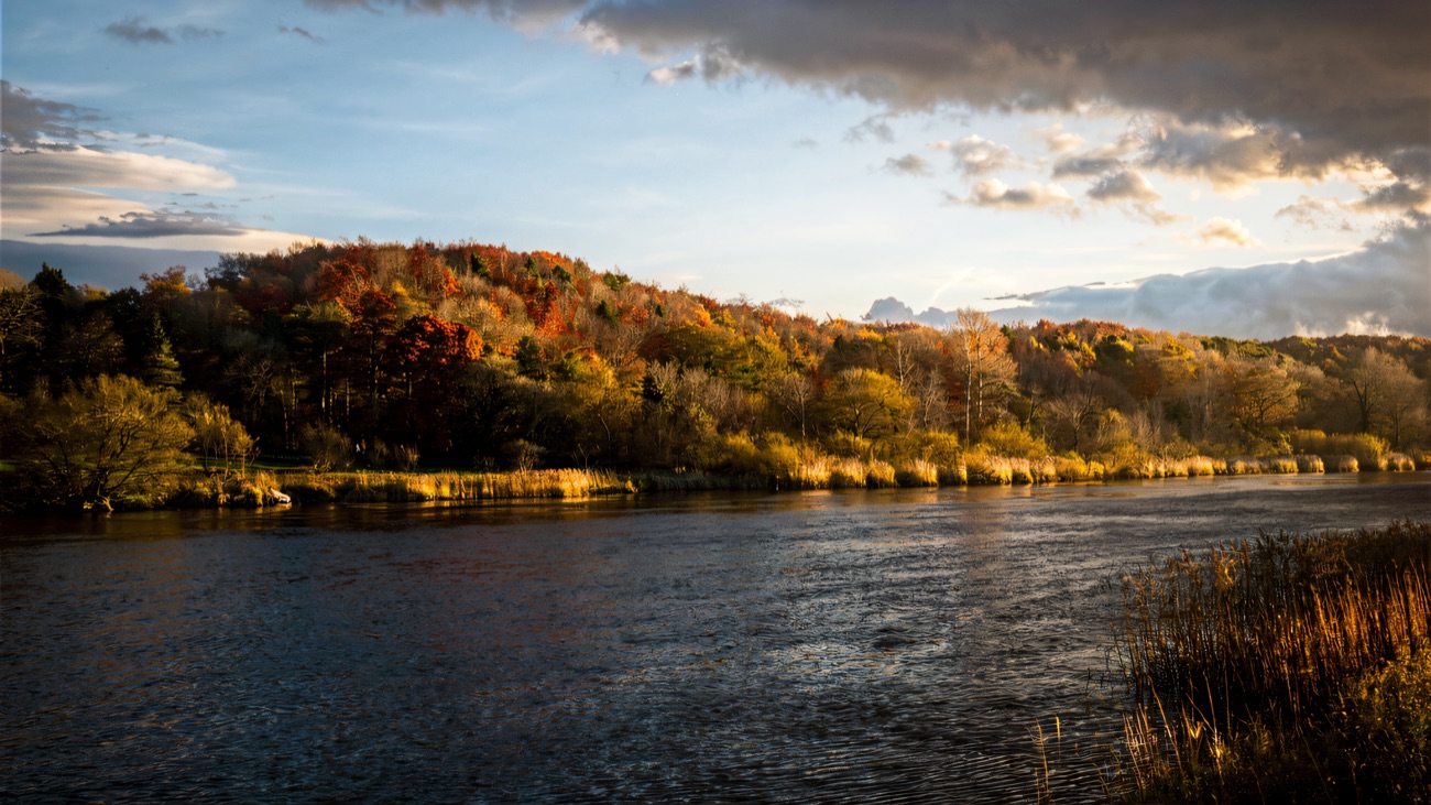 The Lower Bann in autumn colour, reeds and wooded banks along the water