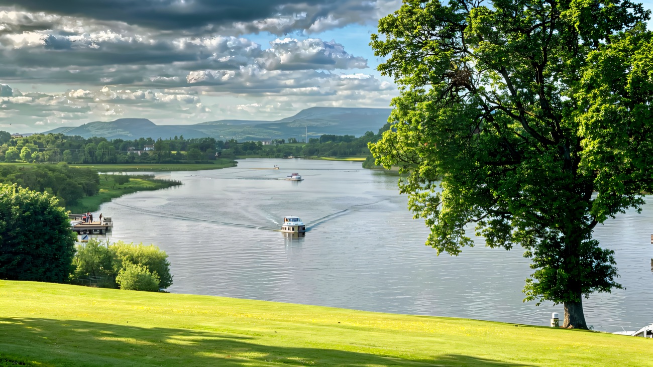 A cruiser glides across the lough beneath a spreading lakeside tree.
