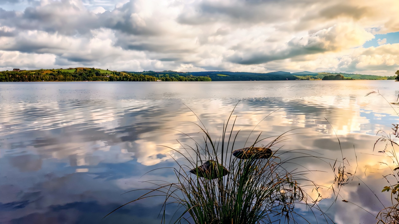 Reeds and a soft, cloud-mirrored calm on a quiet stretch of the lough.