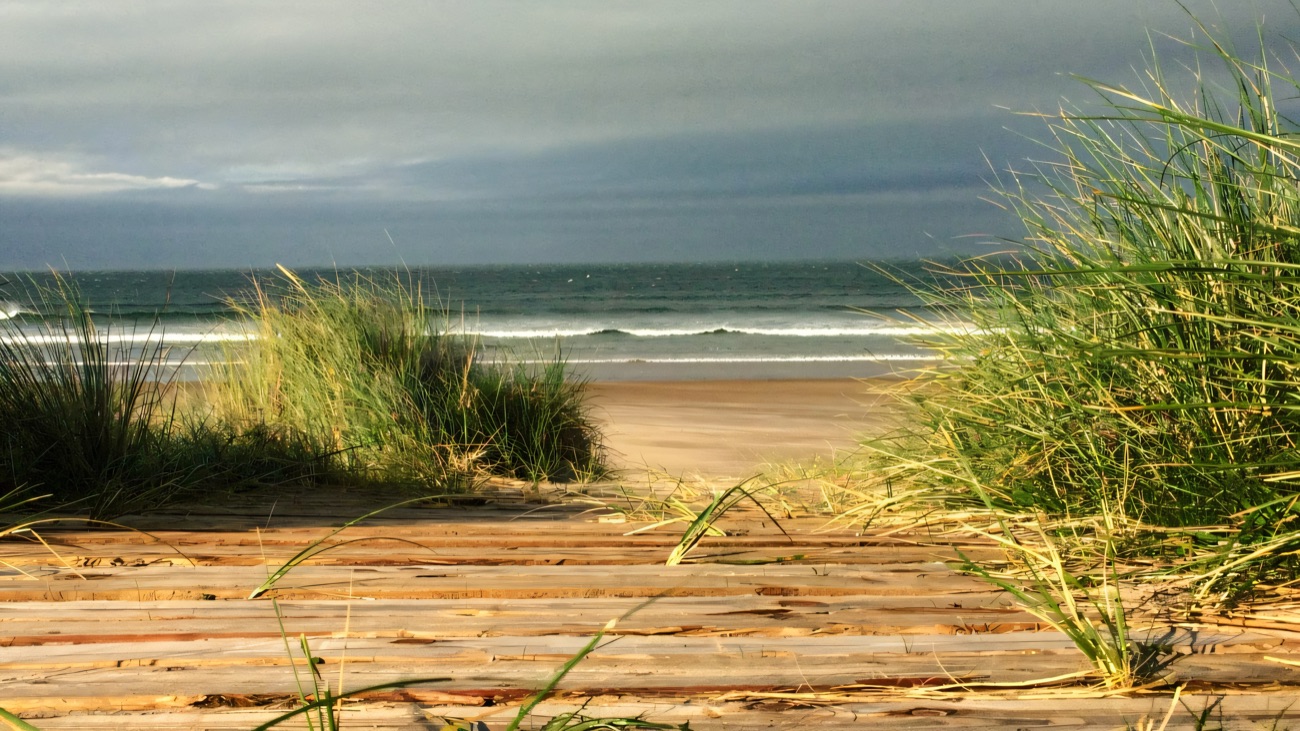 The boardwalk through the dunes down to the open beach