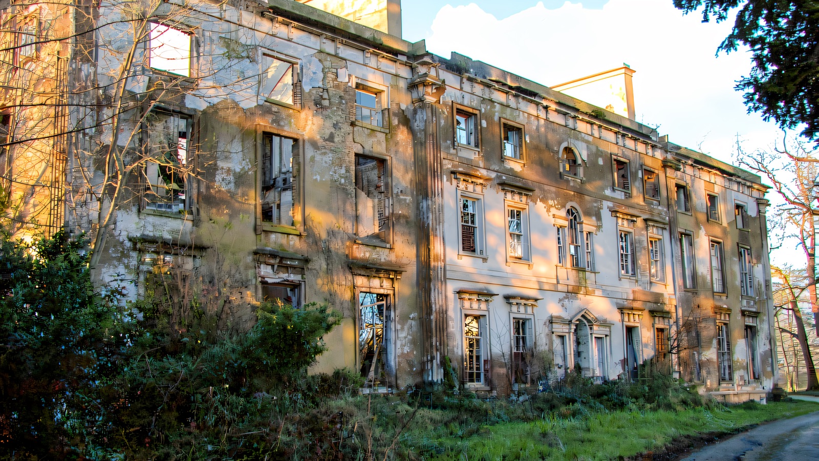 The ruined Mount Panther House on its County Down estate, its long stone facade weathered and roofless