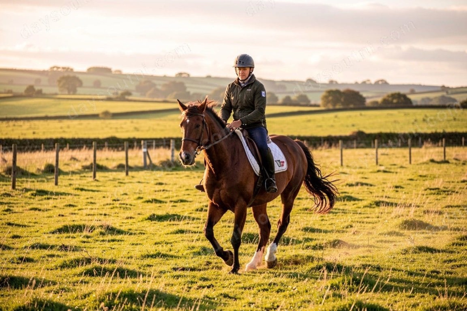 Mourne Trail Riding Centre