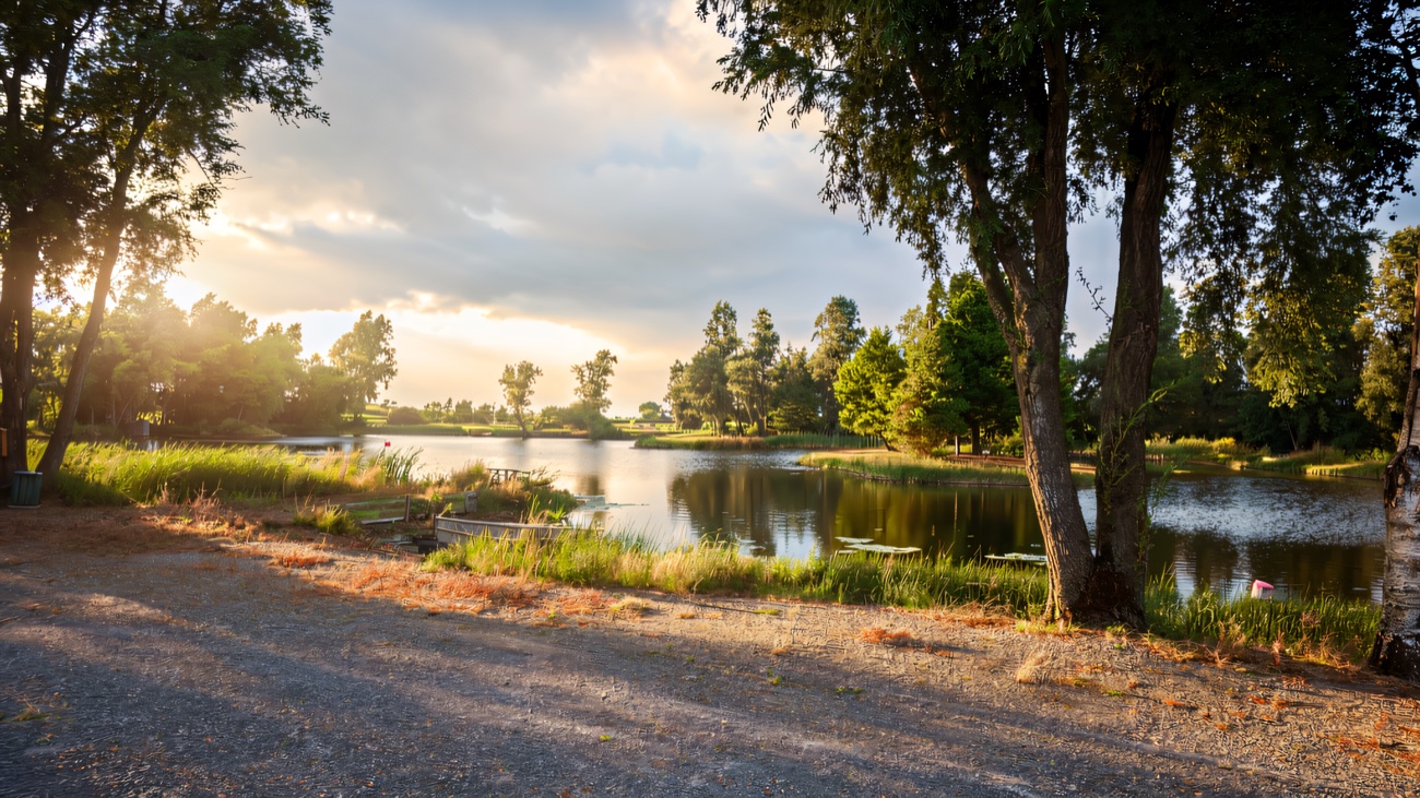 The fishery lakes with willows, picnic bench and moored boat