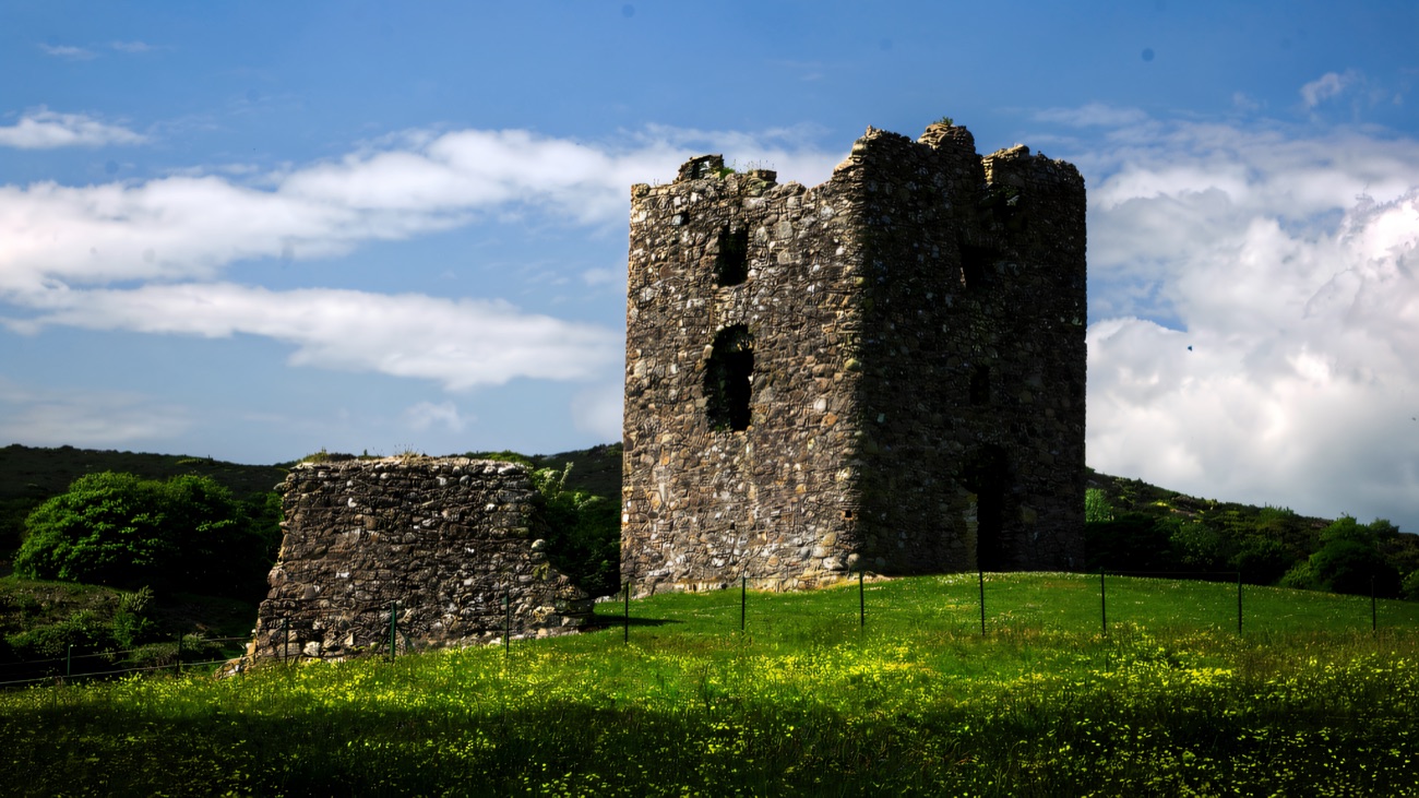 The stout tower and a fragment of its bawn wall in a buttercup meadow.