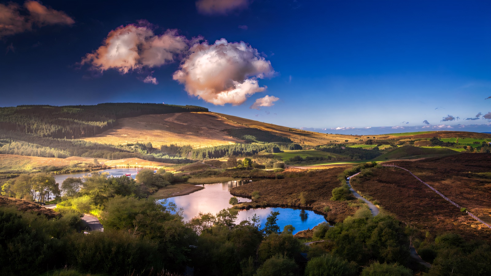 Mullaghbane Sperrins Biodiversity Trail