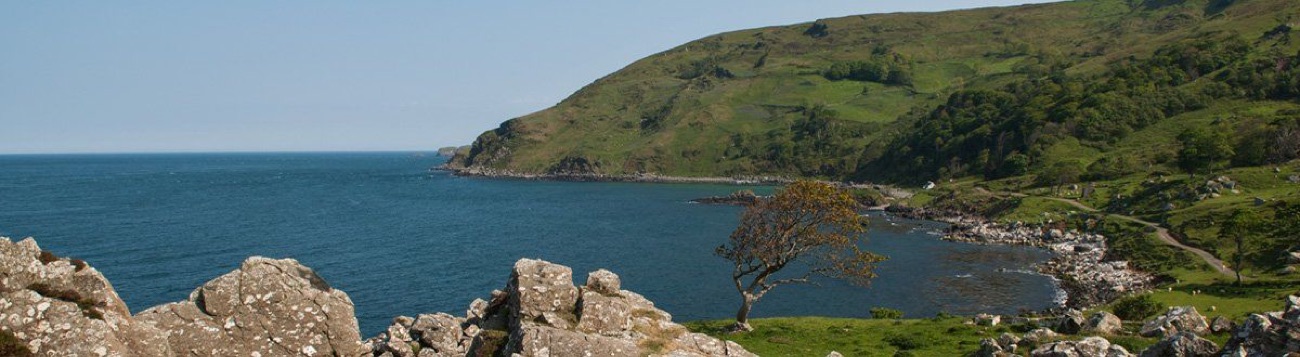 A wide view over Murlough Bay with a lone tree, green headland and boulders in the foreground