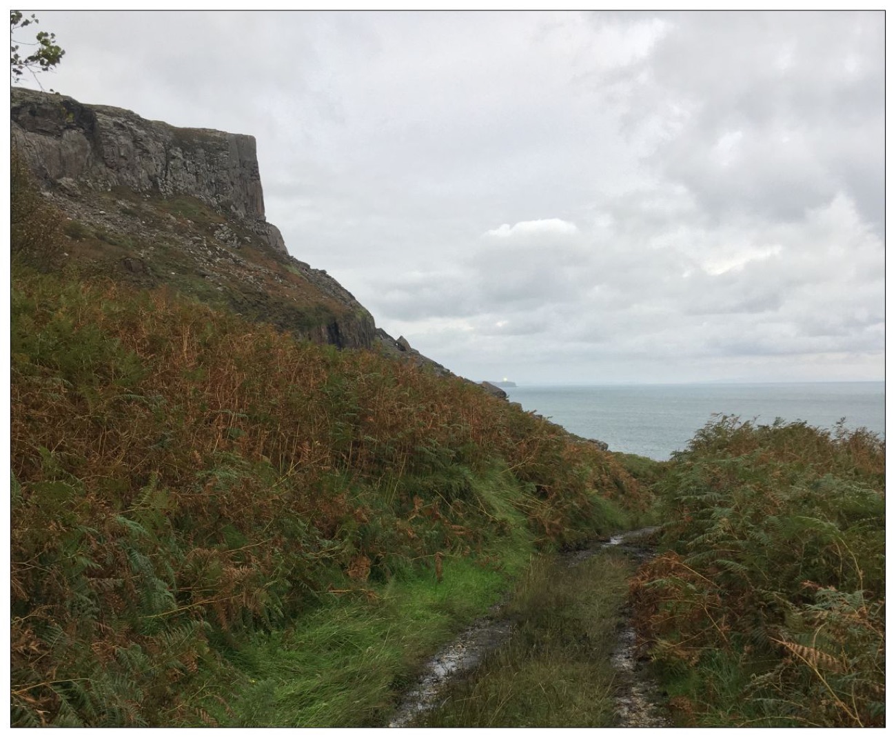 The steep grassy track winding down towards the shore beneath the Fair Head cliff