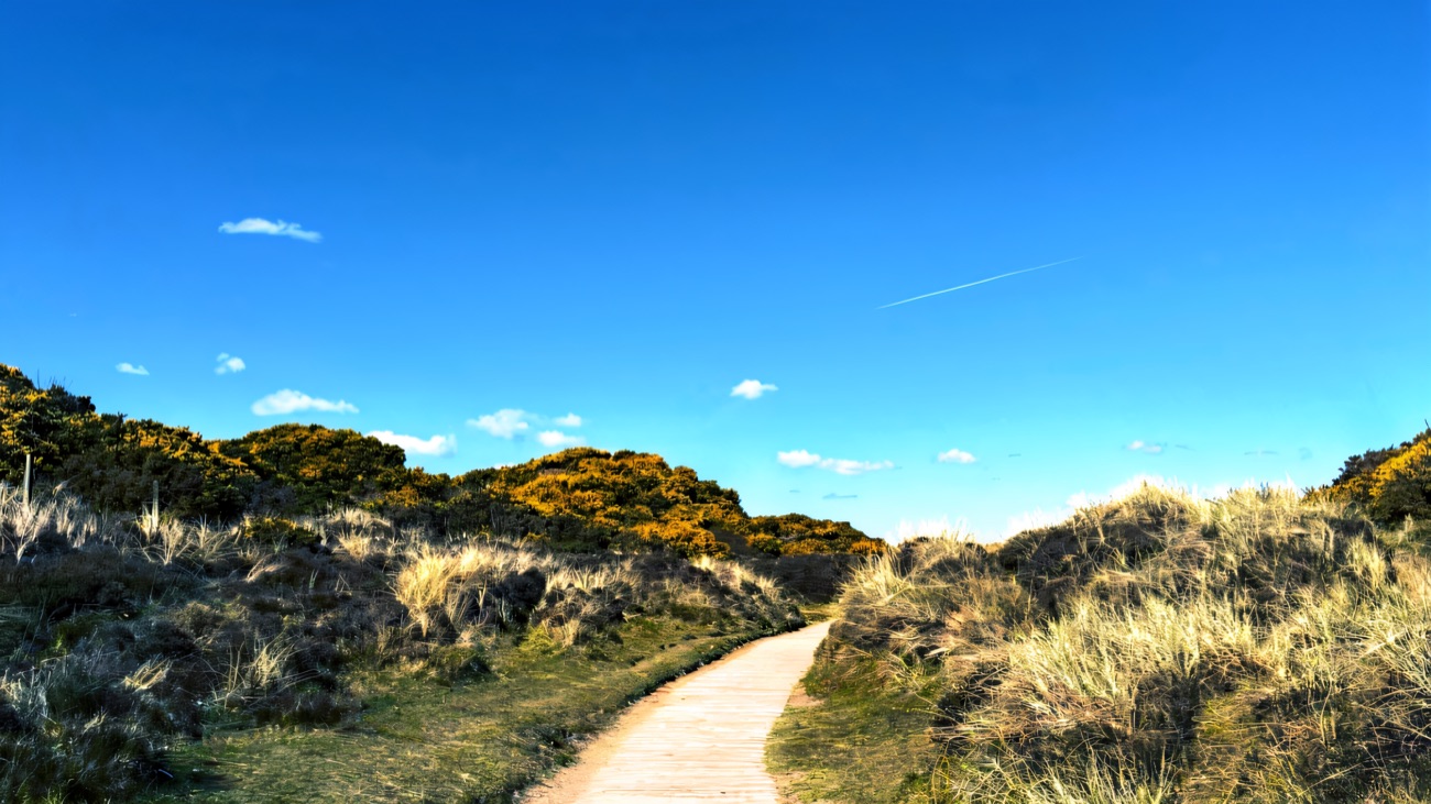 Murlough Beach dunes