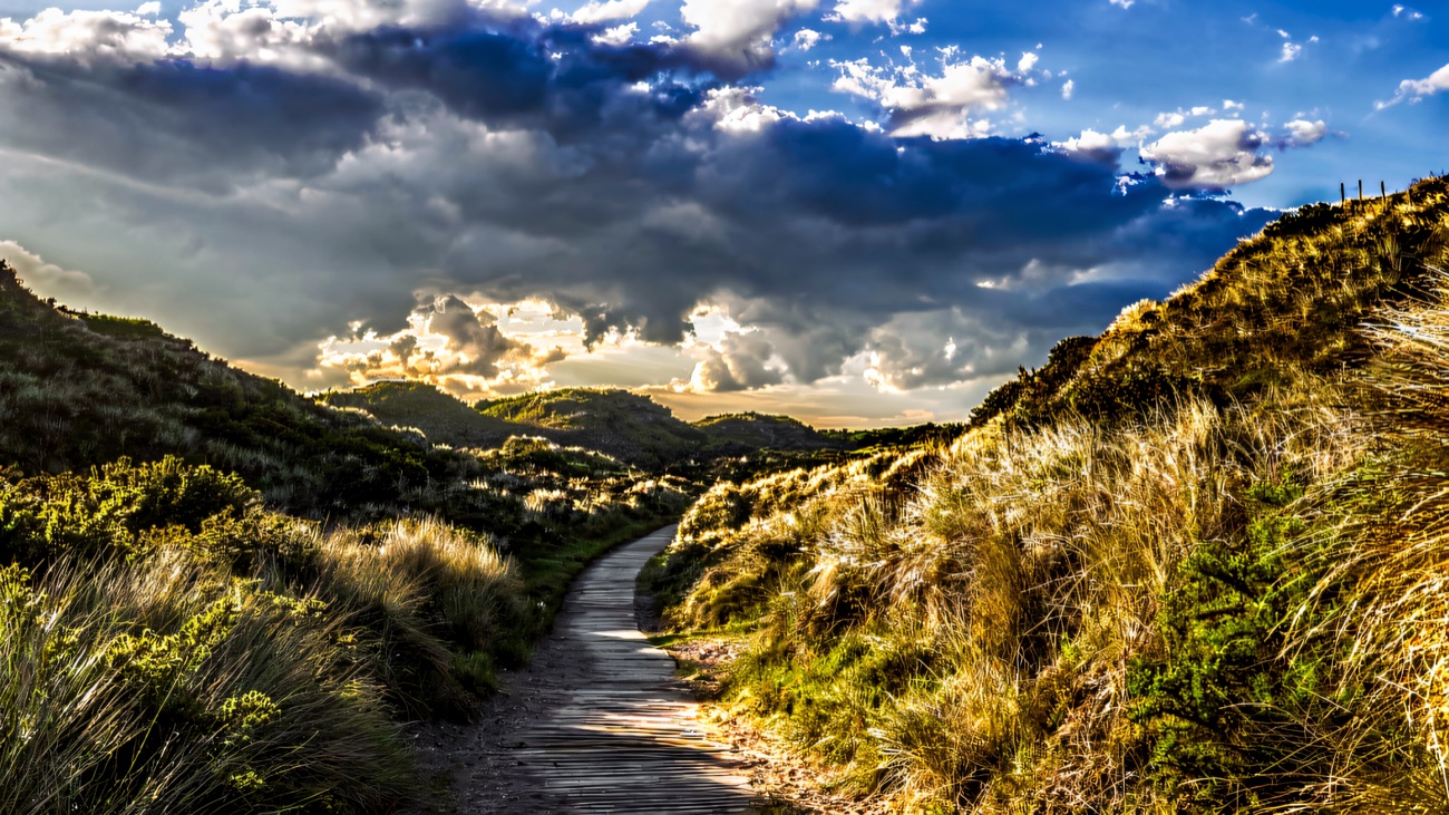 A sandy path winding through the marram-grass dunes at Murlough under a dramatic sky