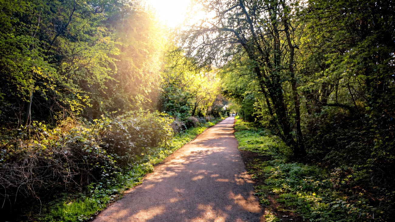 The greenway runs tree-lined and traffic-free through fresh spring greenery
