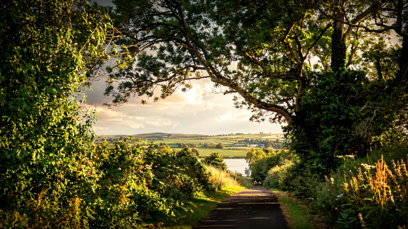 The trail dips through the trees with the Foyle valley opening up beyond