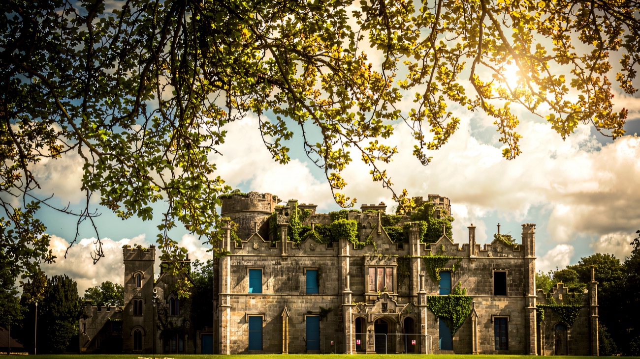 Necarne Castle across the parkland, framed by the branches of a big tree over sunlit grass