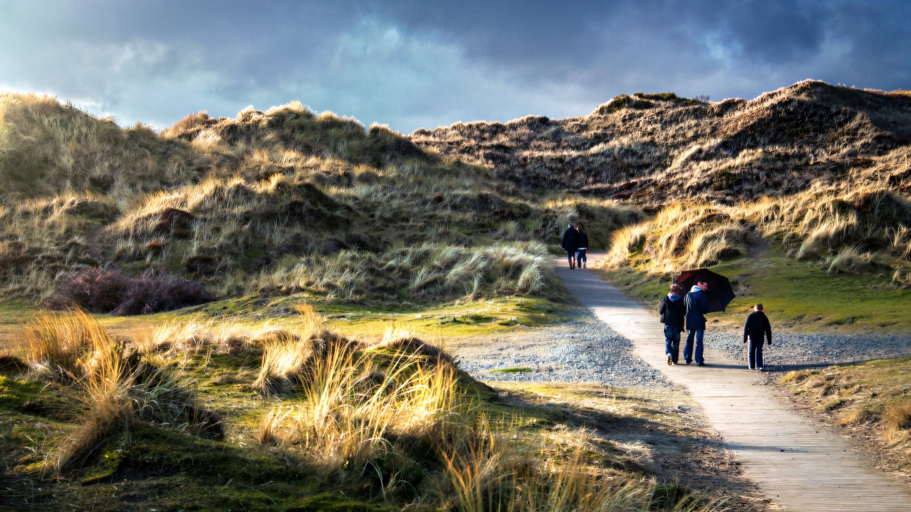 The boardwalk winding up through Murlough's marram dunes