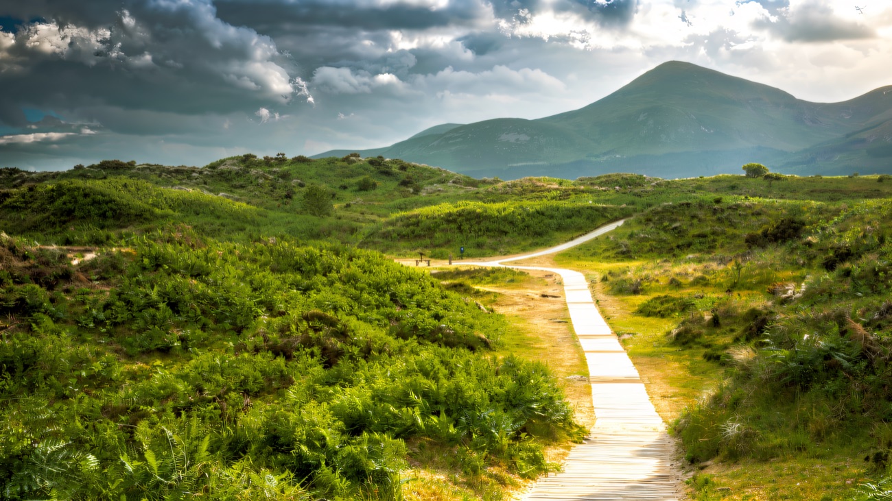 The dune path leading out toward Slieve Donard