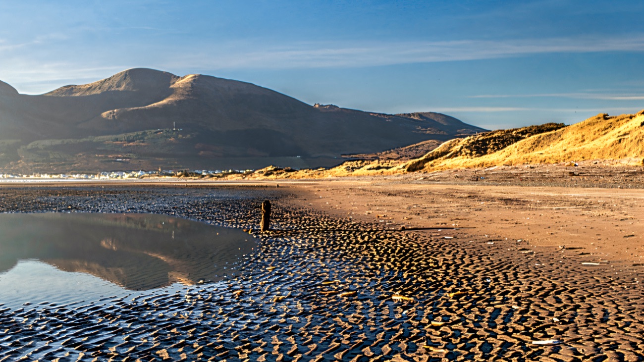Rippled sand and still reflections in the golden evening light