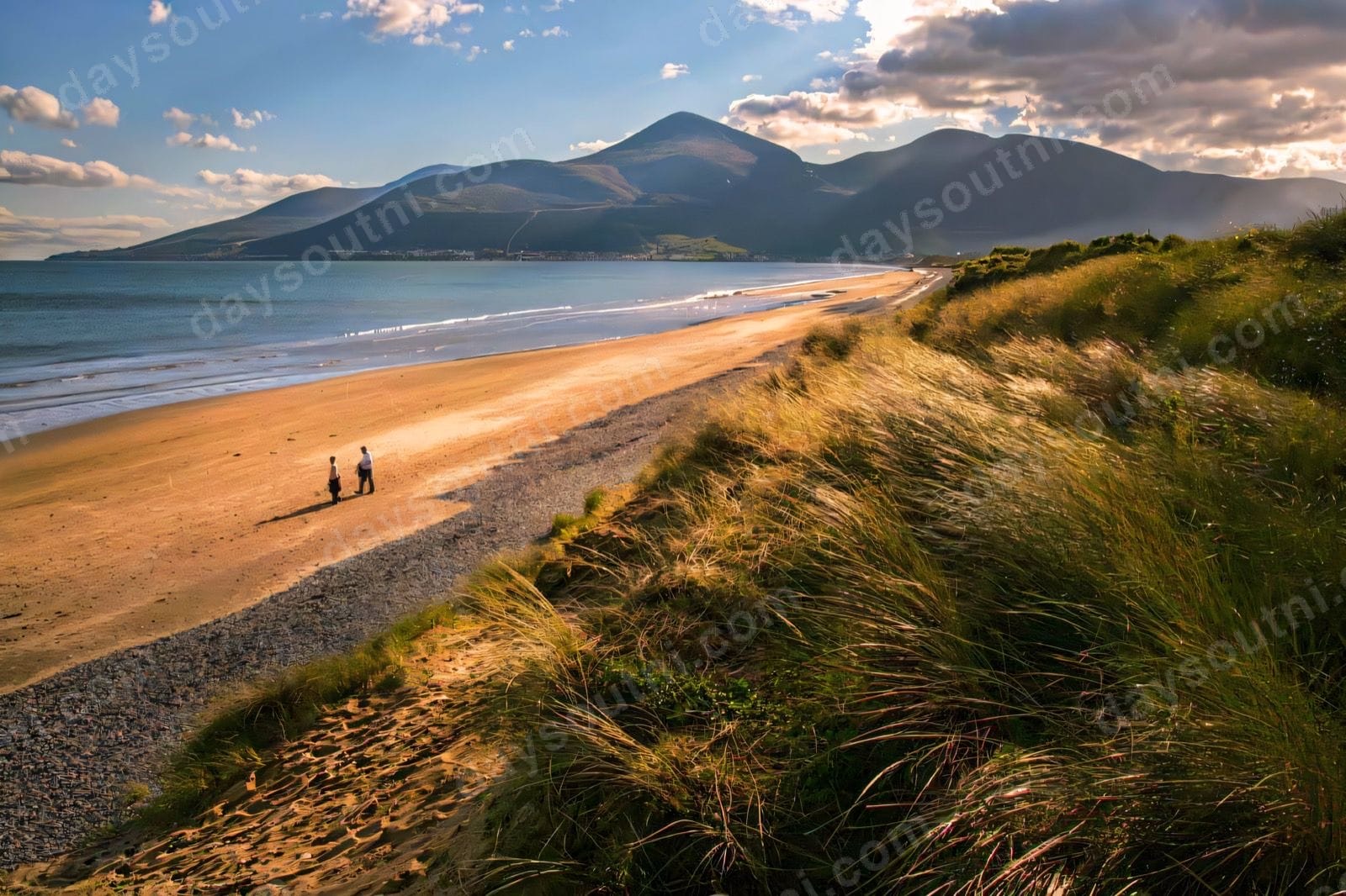 Newcastle to Murlough Boardwalk