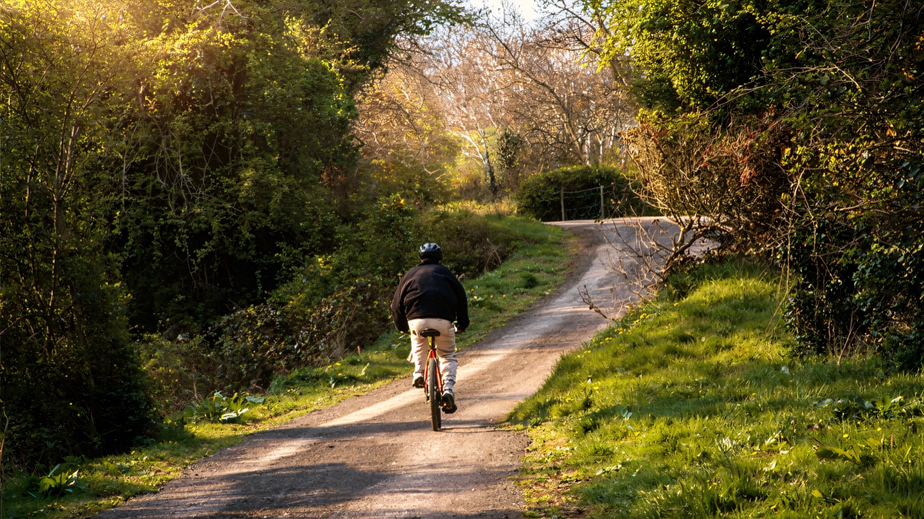 A cyclist rolls along the leafy towpath through the trees