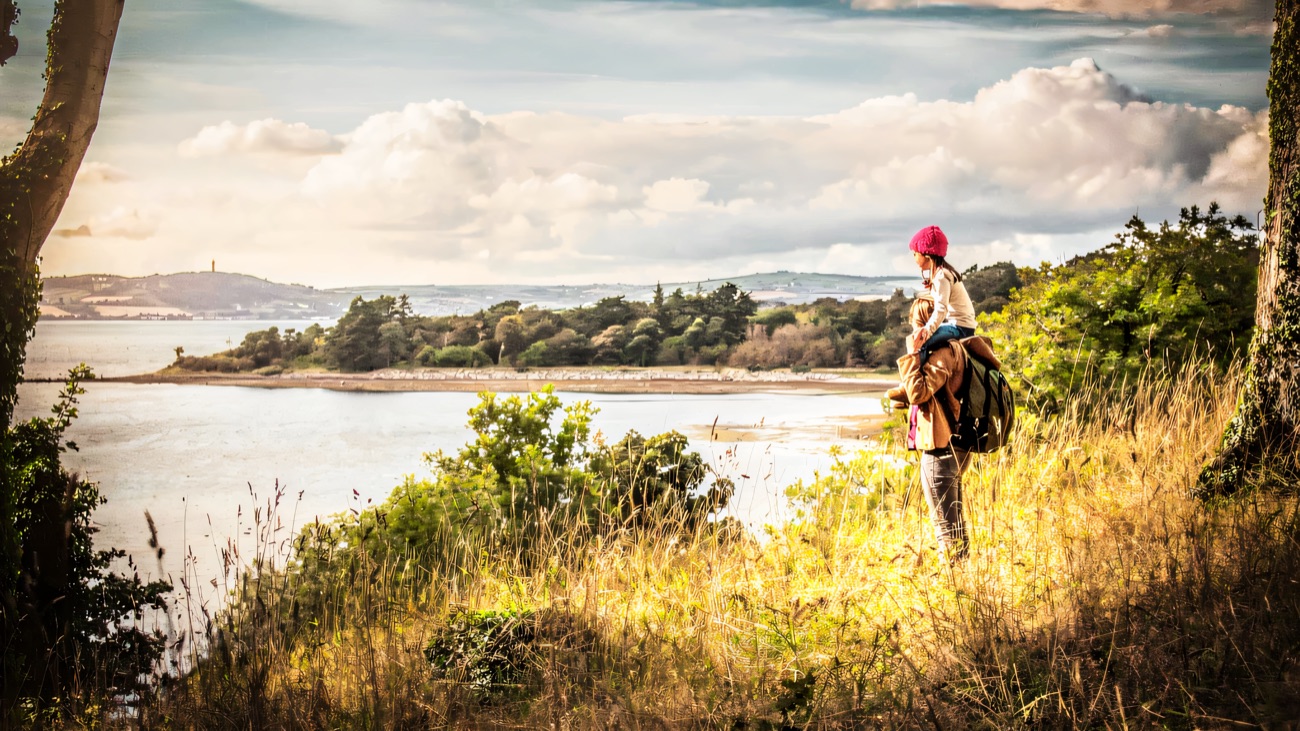 Walkers pause on the Strangford Lough shore, Scrabo Tower on the far skyline.