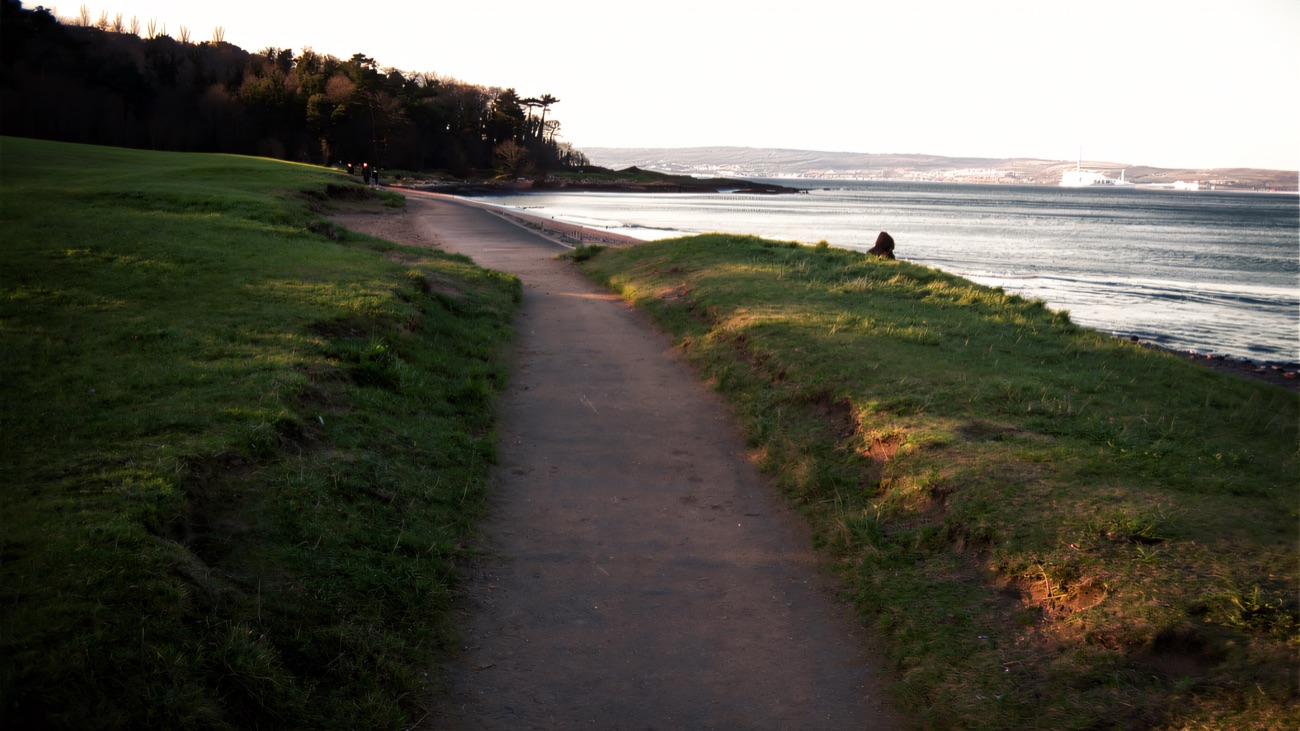 The path curving through grassy slopes down to the shore at Crawfordsburn