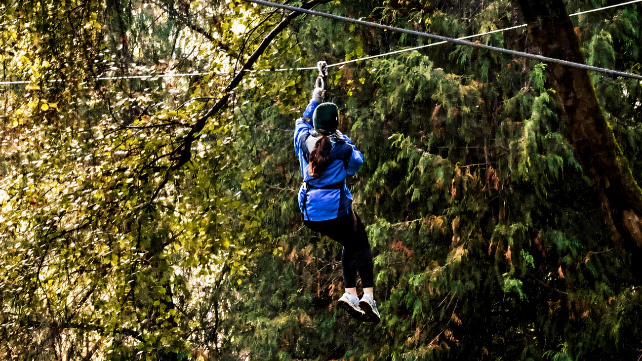A person zip-lining through woodland on a cable, seen from behind