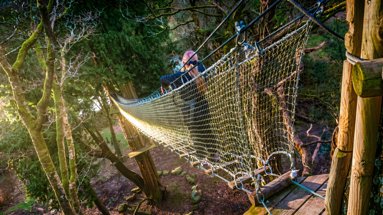 A high net bridge strung through the tops of the trees