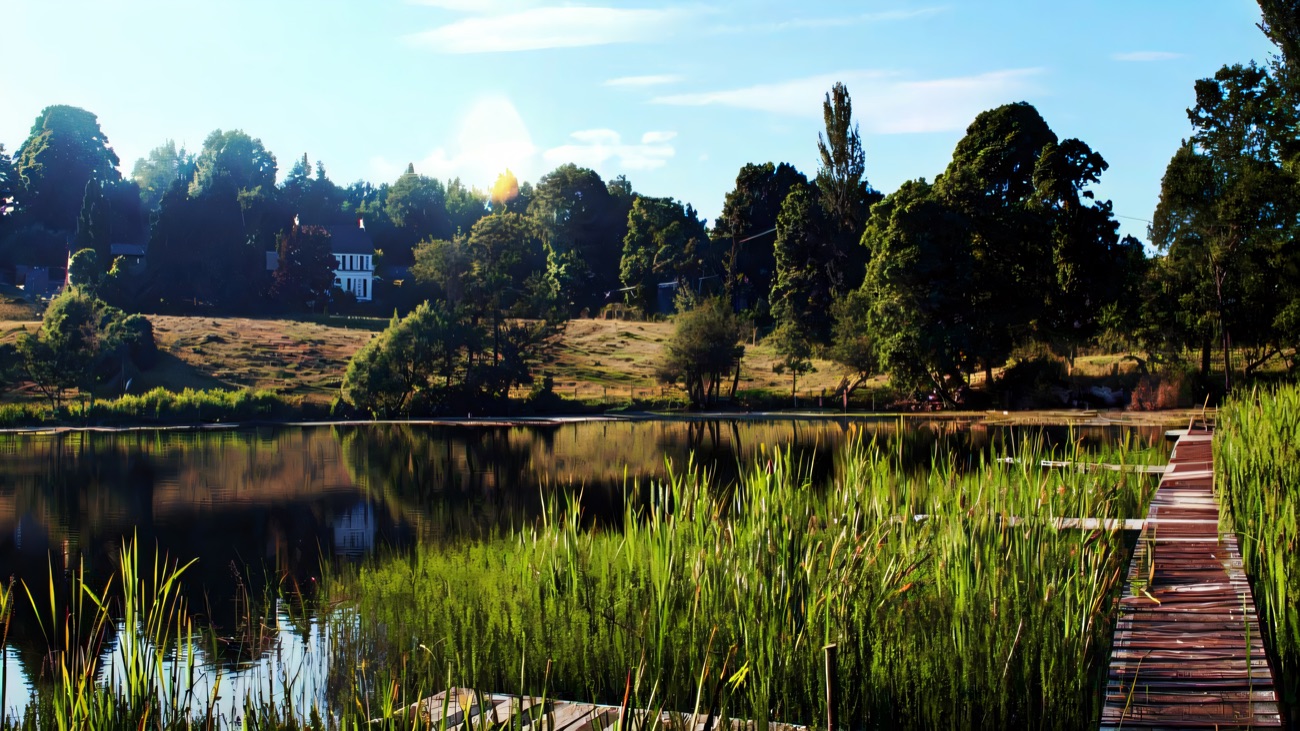 Reeds and a wooden walkway along the edge of the lake