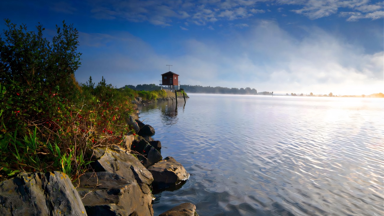 A bird hide on stilts over the misty shore of Lough Neagh at first light