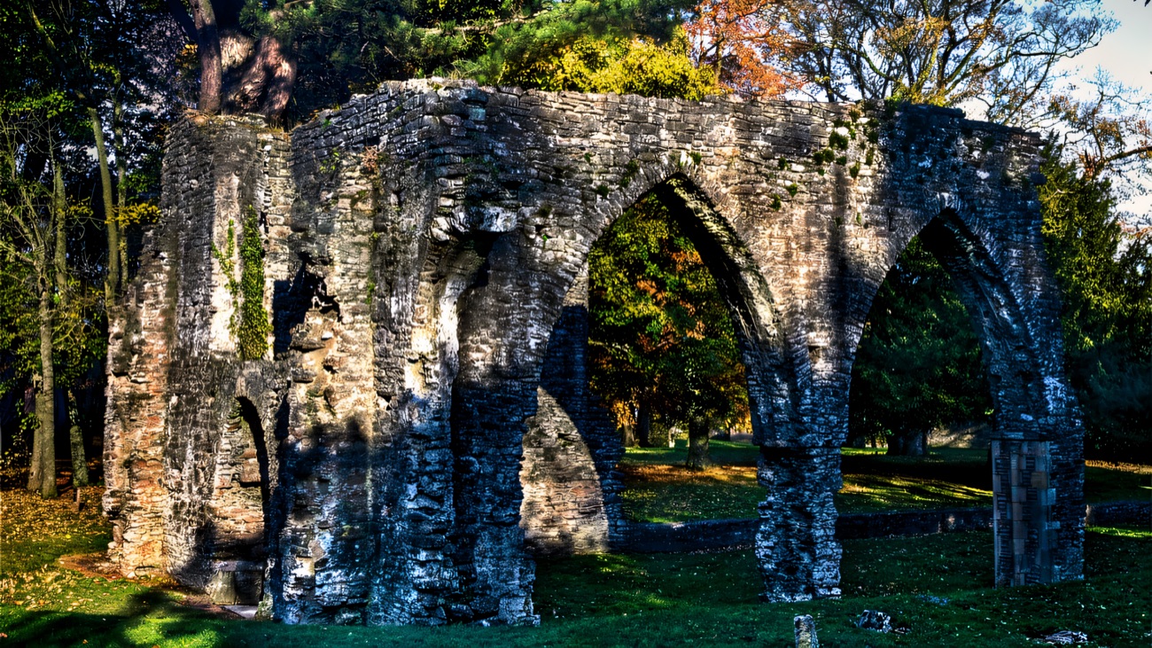 The Gothic arches of the ruined Franciscan friary in the parkland