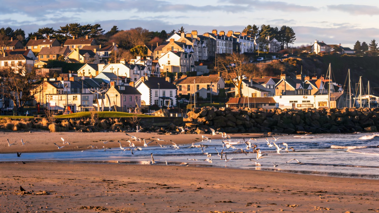 Gulls on the tideline with the seafront houses and marina masts of Ballycastle behind