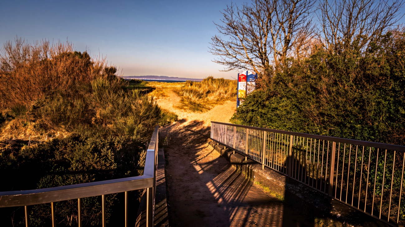 A boardwalk and sandy path leading through the dunes down to the shore