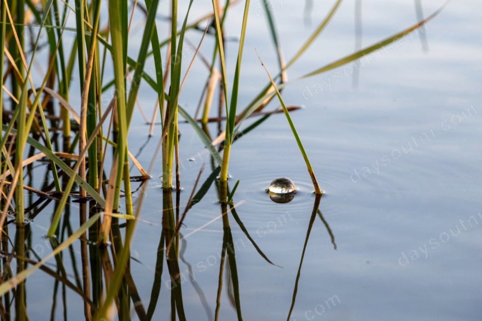 Public Angling Estate (NI government waters)