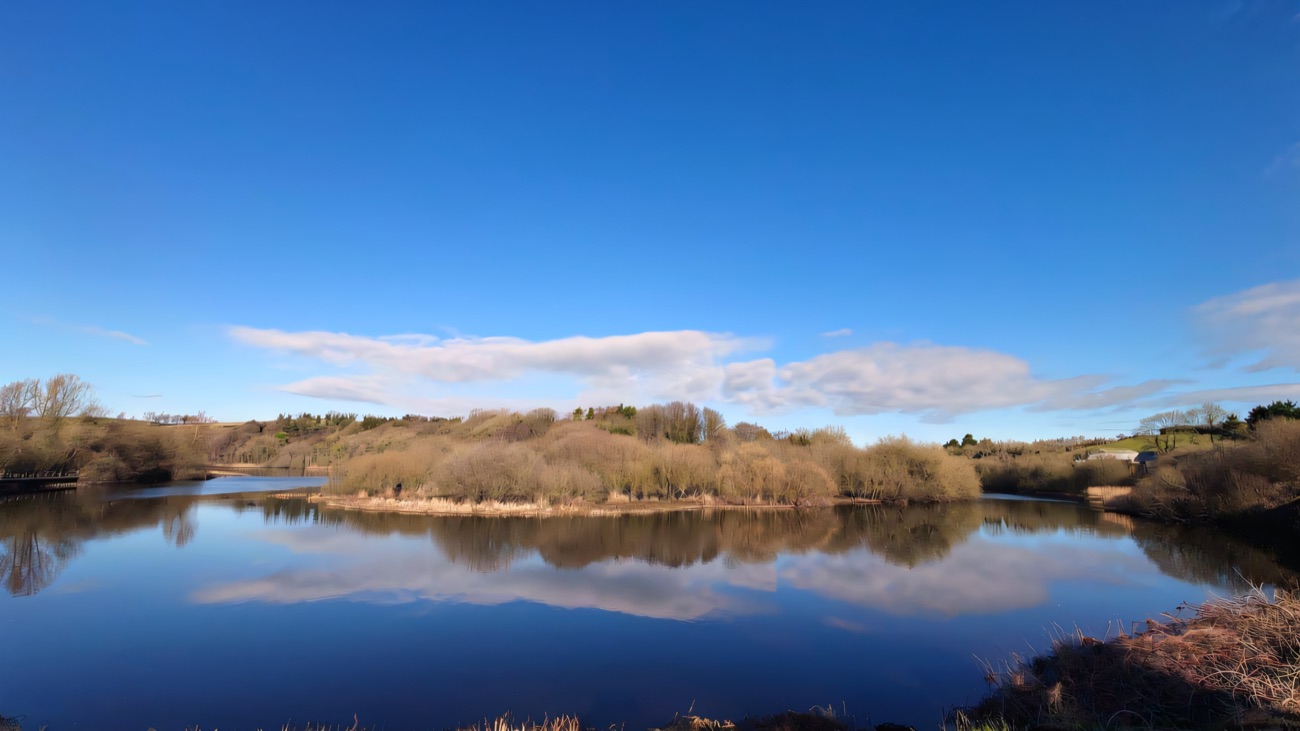 A bright winter's day, the still water mirroring a reed-covered island.