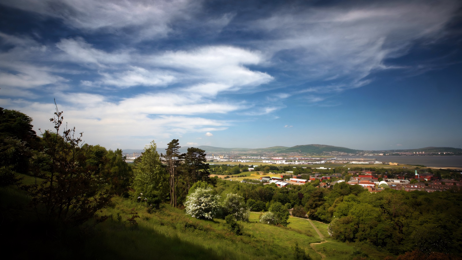 View from the grassy hillside of Redburn Country Park over trees to Belfast Lough and the Antrim hills under a blue summer sky