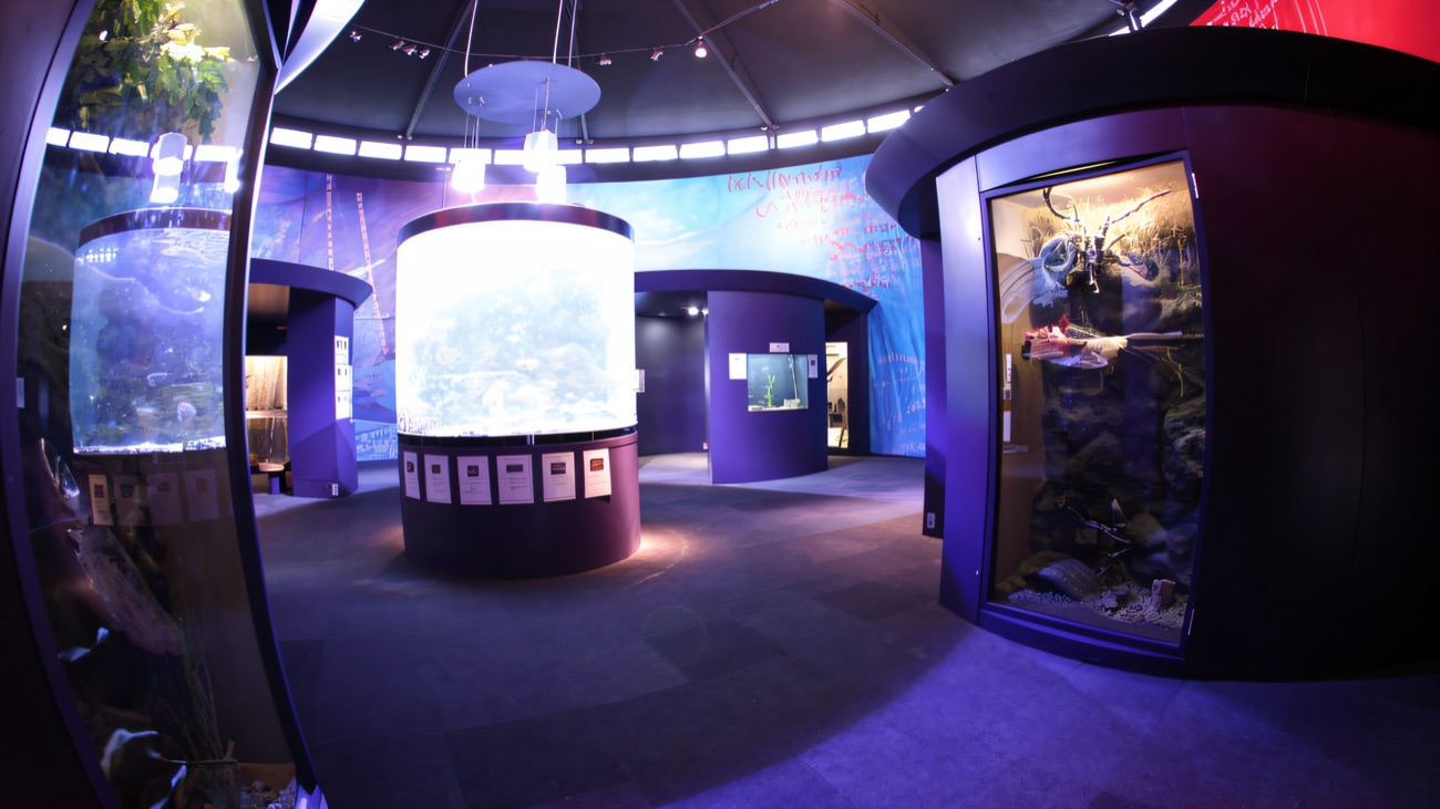 The round, purple-lit aquarium hall at Riverwatch with a ring of glowing cylindrical fish tanks