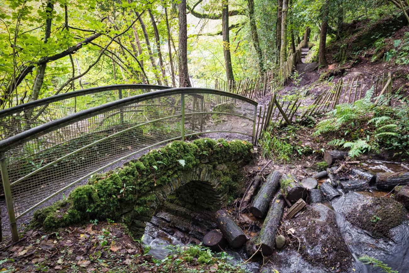 A mossy stone footbridge arches over a stream, with a woodland path leading on through the trees.