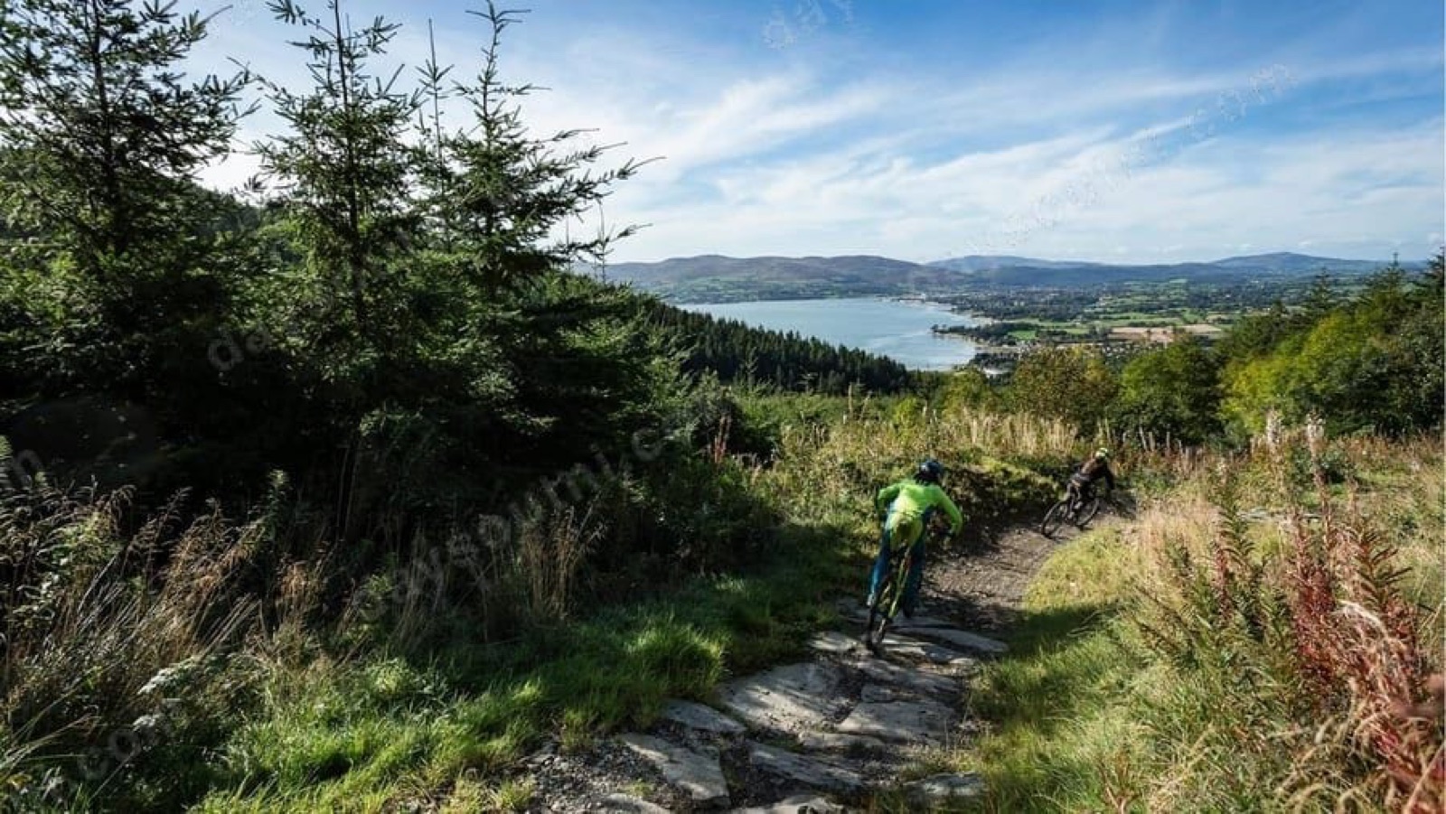 Rostrevor Mountain Bike Trails