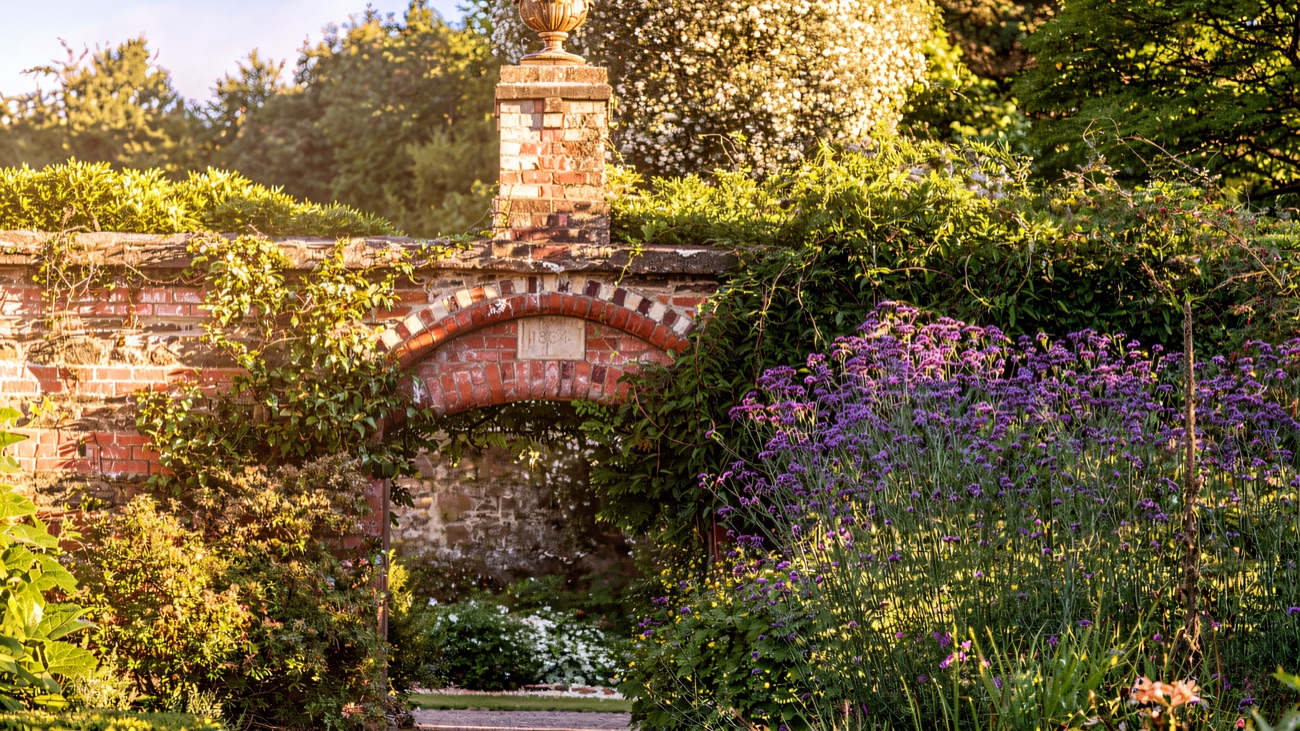 The walled garden at Rowallane in bloom