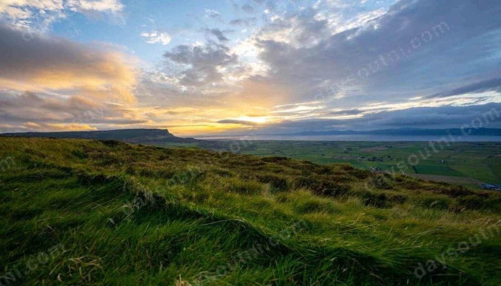 RSPB Lough Foyle